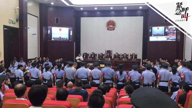 生董明珠揭露其真相最终沦为阶下囚EVO视讯真人“爱心妈妈”双面人(图1)